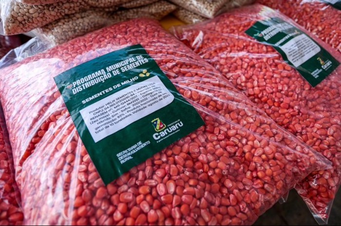 Foto: Reprodução/Prefeitura de Caruaru - PE