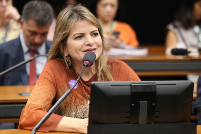 A autora da proposta, deputada Flávia Morais - (Foto: Billy Boss/Câmara dos Deputados)