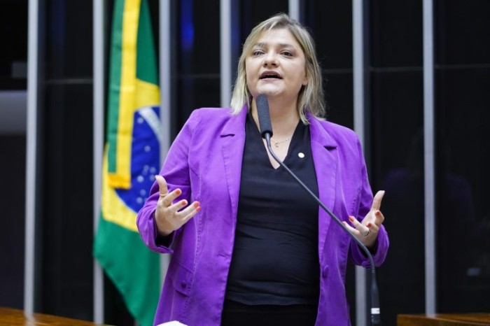 Luciene Cavalcante: proposta gera consequências jurídicas para o agente público - (Foto: Pablo Valadares / Câmara dos Deputados)