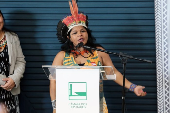 Deputada licenciada, Sônia Guajajara é a primeira indígena a assumir a um ministério - (Foto: Plínio Xavier/Câmara dos Deputados)
