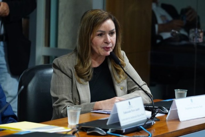 Socorro Neri propôs a criação da frente parlamentar - (Foto: Pablo Valadares / Câmara dos Deputados)