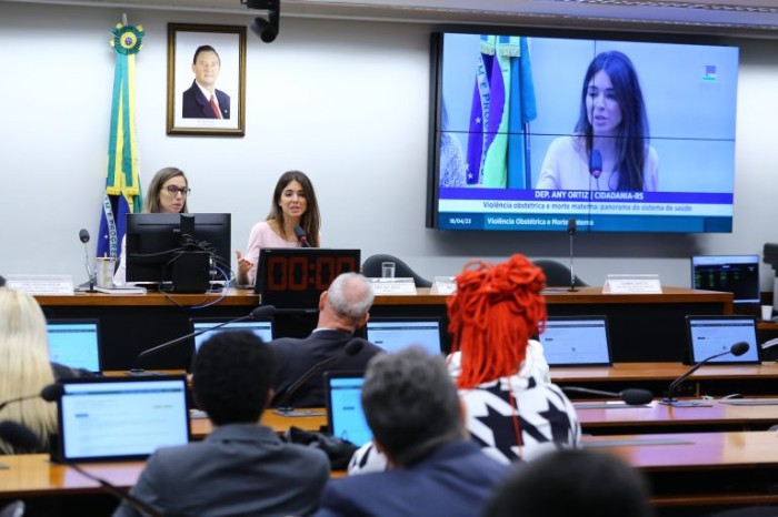 Comissão sobre violência obstétrica reunida na Câmara - (Foto: Vinicius Loures/Câmara dos Deputados)