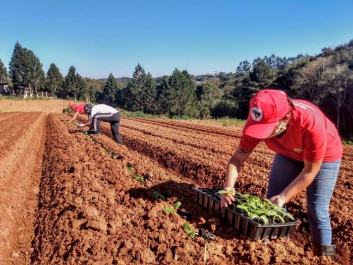 Comissão vai debater também a legislação sobre a reforma agrária - (Foto: Giordano Bruno Prates, Daiane Prado e Ednubia Ghisi)