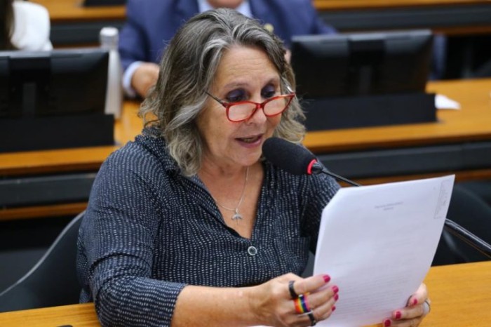 Deputada Erika Kokay, relatora do projeto de lei - (Foto: Vinicius Loures / Câmara dos Deputados)