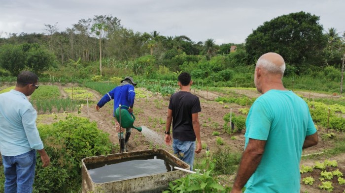 Foto: Reprodução/Prefeitura de Alagoinhas - BA