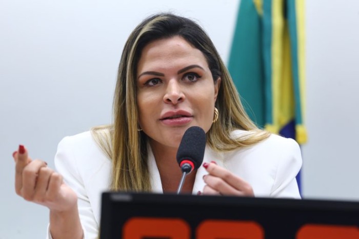Silvye Alves contou às convidadas que a mãe sofreu violência doméstica - (Foto: Vinicius Loures/Câmara dos Deputados)