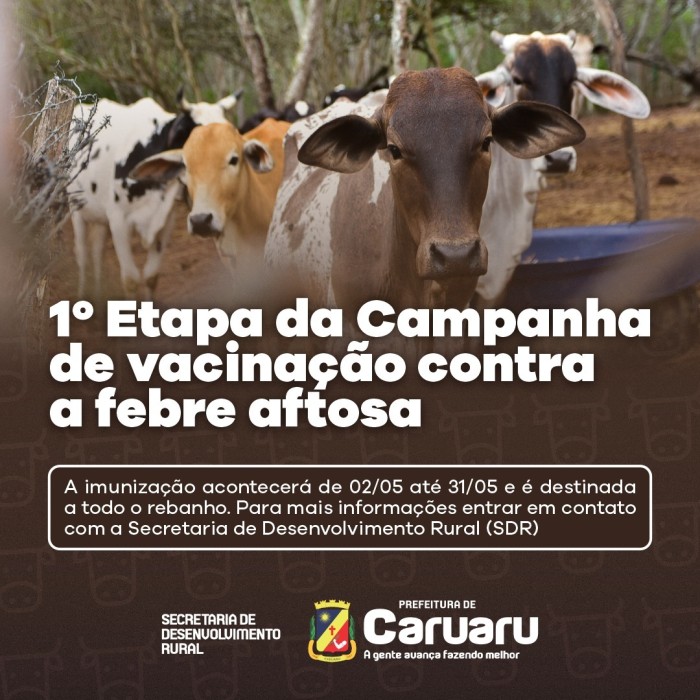 Foto: Reprodução/Prefeitura de Caruaru - PE