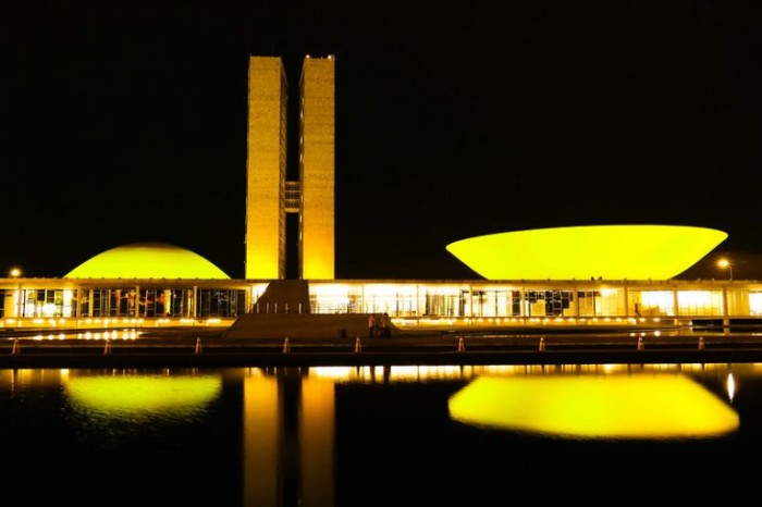 Congressso está iluminado de amarelo - (Foto: Roque de Sá/Agência Senado)