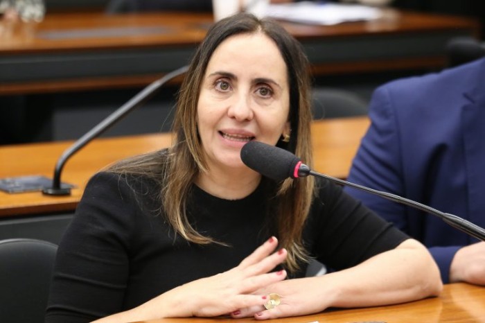 Adriana Ventura: transparência evita ocorrência de irregularidades - (Foto: Billy Boss/Câmara dos Deputados)