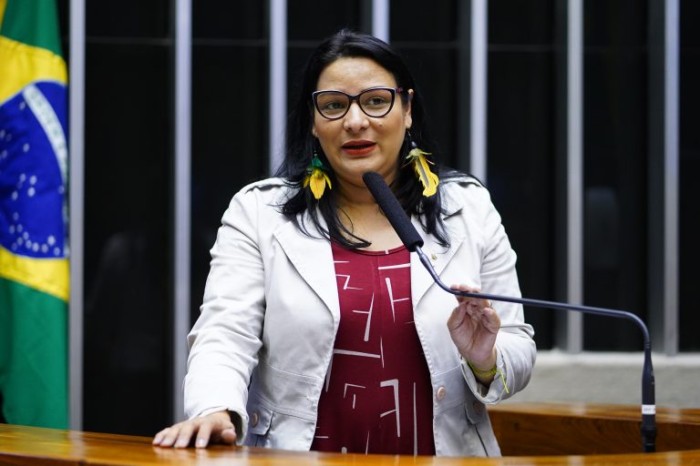 Juliana Cardoso: conferência é ferramenta para promover democracia participativa - (Foto: Pablo Valadares / Câmara dos Deputados)