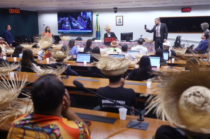 Audiência pública da Comissão de Cultura da Câmara - (Foto: Vinicius Loures/Câmara dos Deputados)