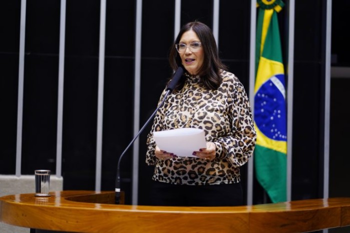 Bia Kicis, autora do requerimento - (Foto: Pablo Valadares / Câmara dos Deputados)