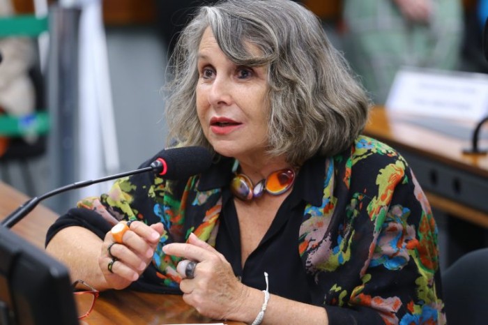 Kokay recomendou a aprovação da proposta com alguns ajustes no texto - (Foto: Vinicius Loures/Câmara dos Deputados)