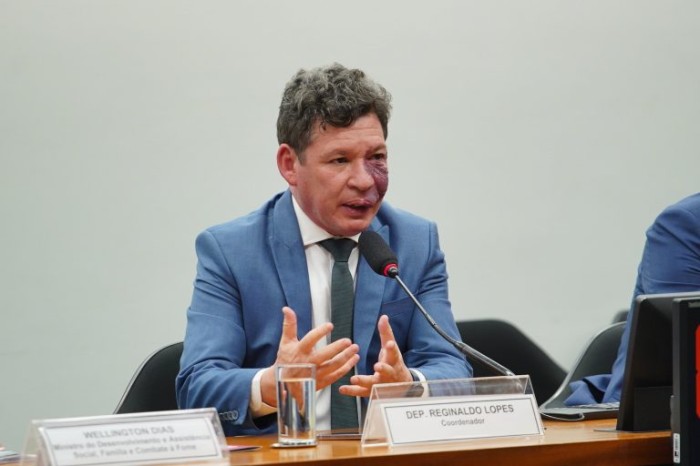 O coordenador do grupo, Reginaldo Lopes - (Foto: Will Shutter / Câmara dos Deputados)