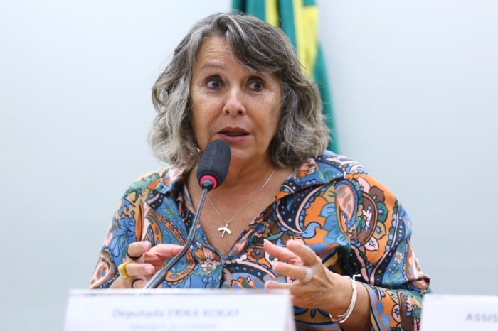 Erika Kokay recomendou a aprovação da proposta - (Foto: Vinicius Loures/Câmara dos Deputados)