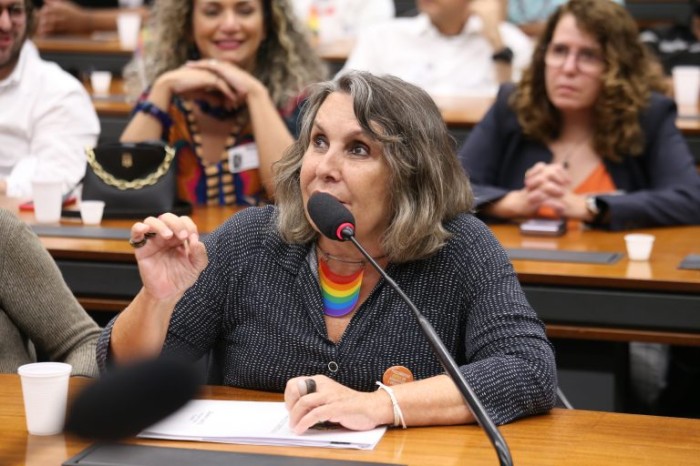 Erika Kokay recomendou a aprovação do projeto - (Foto: Billy Boss/Câmara dos Deputados)