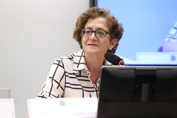 Maria Cristina Hoffmann: discriminação é o primeiro passo para a violência - (Foto: Billy Boss/Câmara dos Deputados)