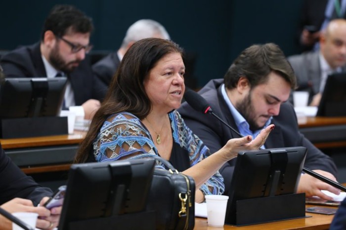 A relatora, deputada Laura Carneiro - (Foto: Vinicius Loures/Câmara dos Deputados)