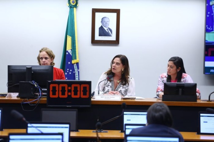 Deputada Soraya Santos (C), presidente da Comissão Especial - (Foto: Vinicius Loures/Câmara dos Deputados)