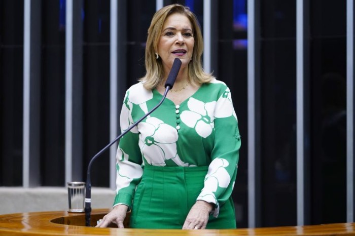 A relatora da proposta, deputada Lêda Borges - (Foto: Pablo Valadares/Câmara dos Deputados)