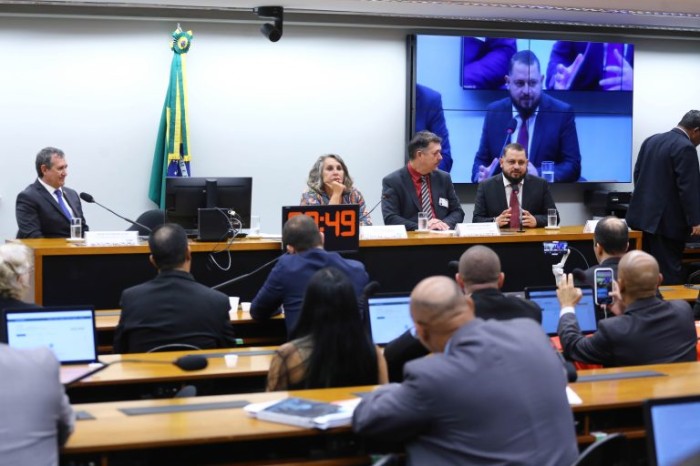 Érika Kokay (C), informou que grupo de trabalho vai formular proposta de regulamentação - (Foto: Vinicius Loures/Câmara dos Deputados)