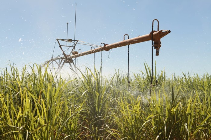 Foto: Nilson Negrão