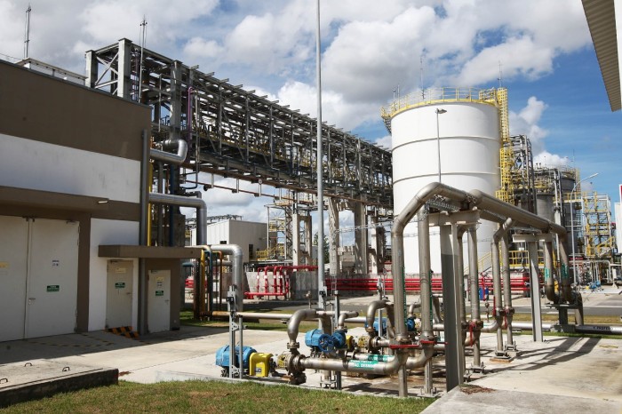 Foto: Carol Garcia/GOVBA