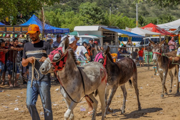 Foto: Reprodução/Prefeitura de Petrolina - PE