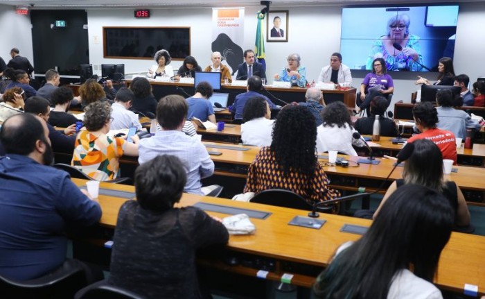 Reunião conjunta das comissões de Direitos Humanos e Legislação Participativa - (Foto: Vinicius Loures/Câmara dos Deputados)