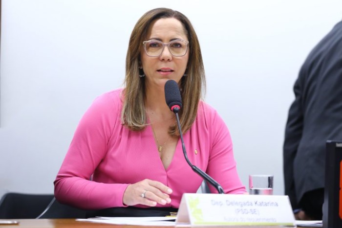 A relatora, deputada Delegada Katarina, recomendou a aprovação da proposta - (Foto: Vinicius Loures/Câmara dos Deputados)