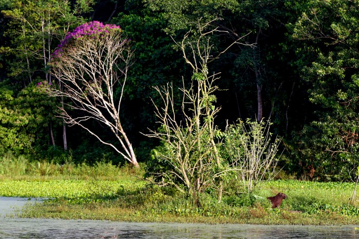 © Tania Rego/Agência Brasil