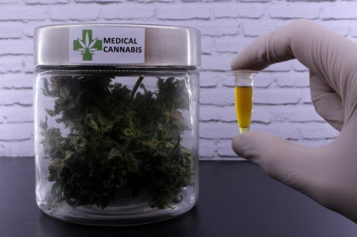 Pesquisas demonstram eficácia da cannabis medicinal - (Foto: flapas/DepositPhotos)