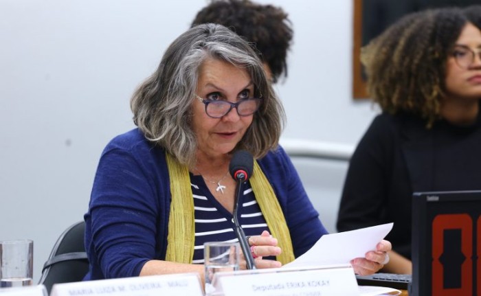 Erika Kokay pretende elaborar PL para ajudar no enfrentamento do problema - (Foto: Vinicius Loures/Câmara dos Deputados)