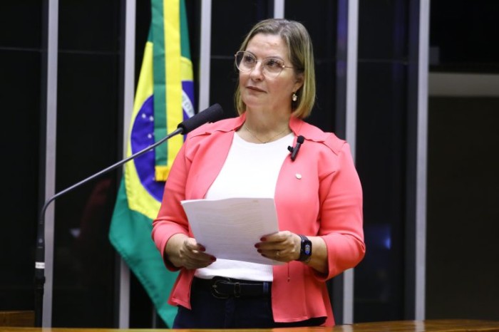 Deputada Ana Paula Leão é a autora do projeto - (Foto: Vinicius Loures/Câmara dos Deputados)
