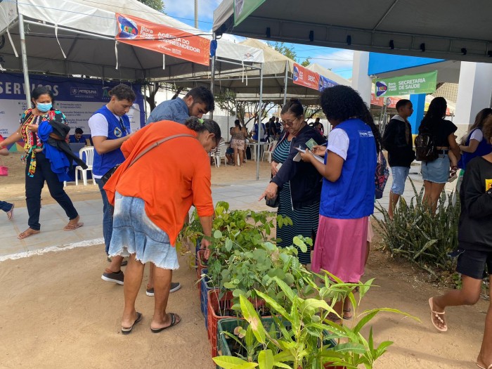 Foto: Reprodução/Prefeitura de Petrolina - PE