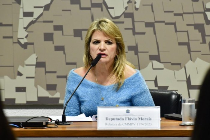 Relatora da comissão, a deputada Flávia Morais defendeu atualização de valores das obras - (Foto: Waldemir Barreto/Agência Senado)