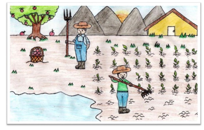 Foto: Reprodução/Prefeitura de Petrolina - PE