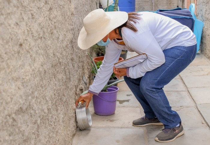 Foto: Reprodução/Prefeitura de Petrolina - PE