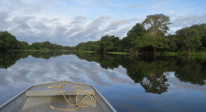Policiais assumem órgãos ligados ao meio ambiente - (Foto: Reprodução/ Pixabay)