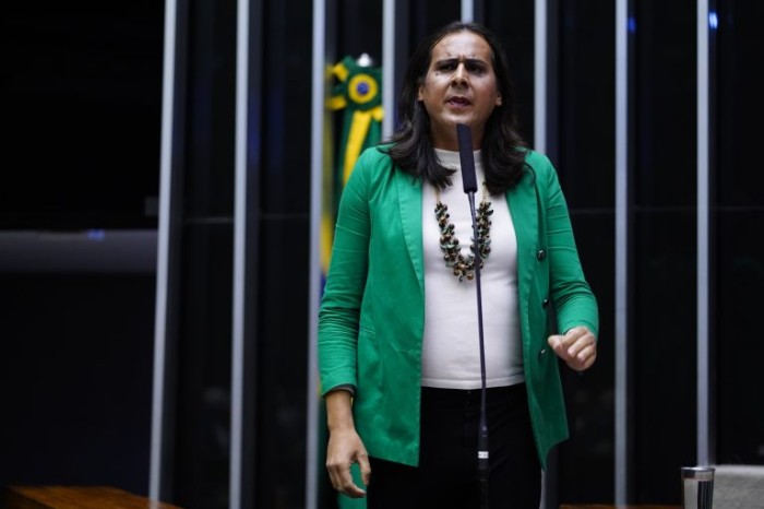 Segundo Salabert, portadoras de transtornos mentais em idade reprodutiva são vulnerabilizadas - (Foto: Pablo Valadares/Câmara dos Deputados)