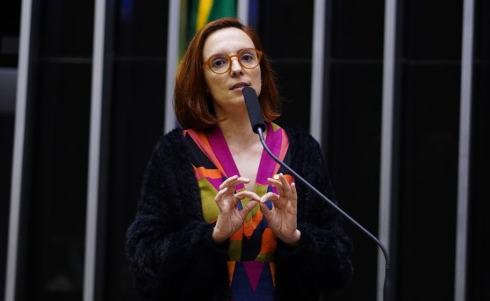 Ana Pimentel, autora do requerimento - (Foto: Pablo Valadares/Câmara dos Deputados)