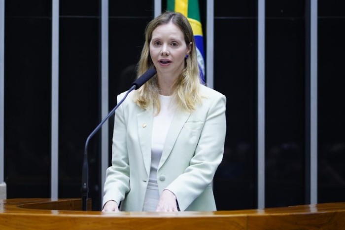 Dani Cunha defende repasse maior para a educação infantil - (Foto: Pablo Valadares/Câmara dos Deputados)