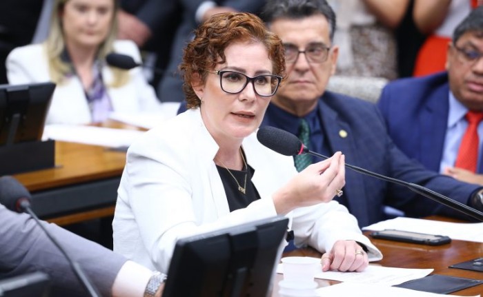 Karla Zambelli é acusada pelo PSB de quebra de decoro - (Foto: Vinicius Loures/Câmara dos Deputados)