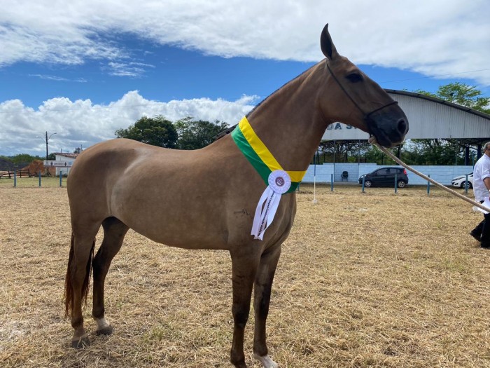 Foto: Reprodução/Prefeitura de Alagoinhas - BA
