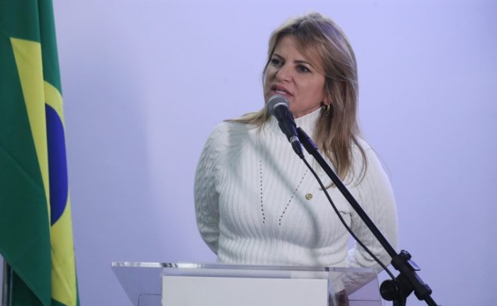 A relatora, deputada Flávia Morais, recomendou a aprovação da proposta - (Foto: Bruno Spada/Câmara dos Deputados)