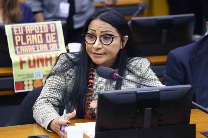 Silvia Waiãpi: proposta dá transparência às concessões de indulto e saídas temporárias - (Foto: Vinicius Loures/Câmara dos Deputados)