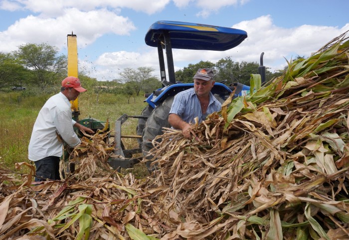 Foto: Reprodução/Prefeitura de Caruaru - PE