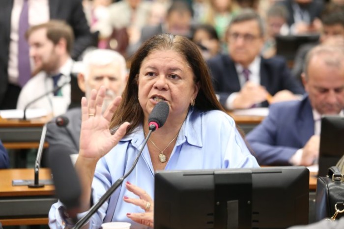 Laura Carneiro: o machismo não pode ser custeado por recursos públicos em função de prejuízos que causa à saúde das mulheres - (Foto: Billy Boss/Câmara dos Deputados)
