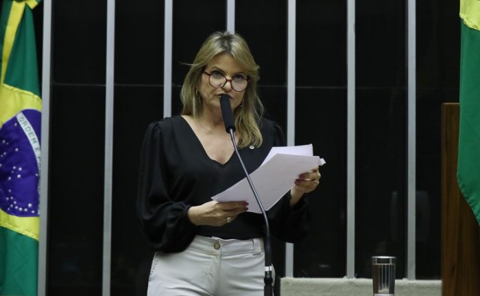 Texto aprovado é substitutivo elaborado pela relatora, Flávia Morais - (Foto: Bruno Spada/Câmara dos Deputados)