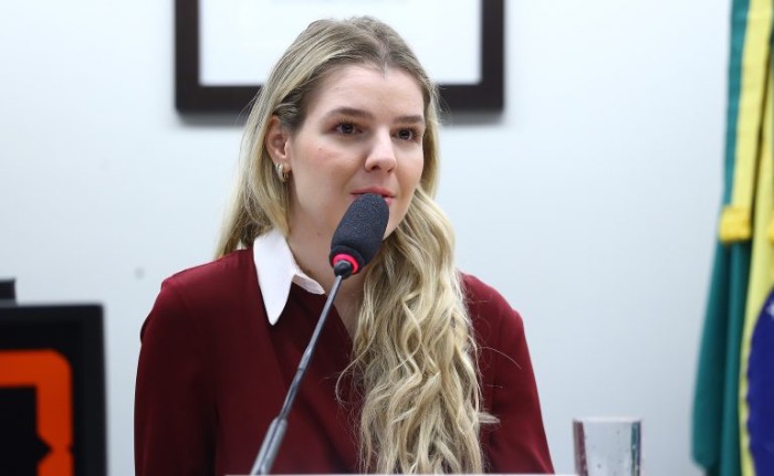 Debate foi pedido pela deputada Luisa Canziani - (Foto: Vinicius Loures/Câmara dos Deputados)